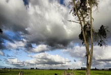 M88官网：[德甲]基米希角球开出 金玟哉前点头球破门.