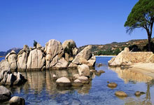 M88官网：[中超]第3轮：青岛西海岸3-3上海海港 集锦.